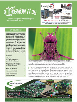 Oignon Mag N°50